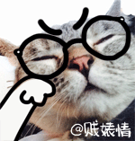 nala猫QQ表情包