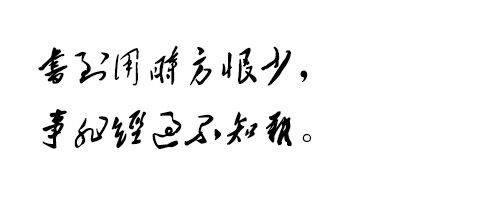 毛主席书法字体