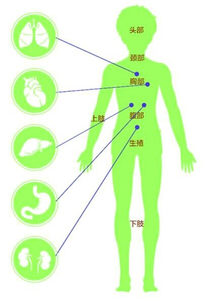 健康武汉app查询核酸 v3.13 安卓官方版0