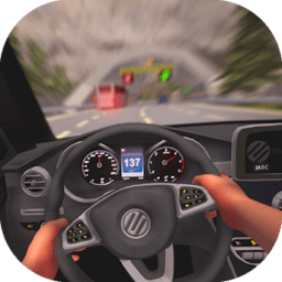 pov汽车驾驶模拟最新版