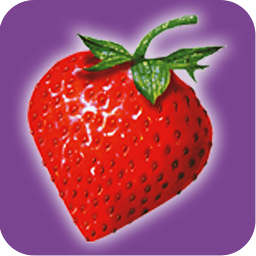 草莓网StrawberryNet手机版