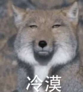 藏狐高清表情包