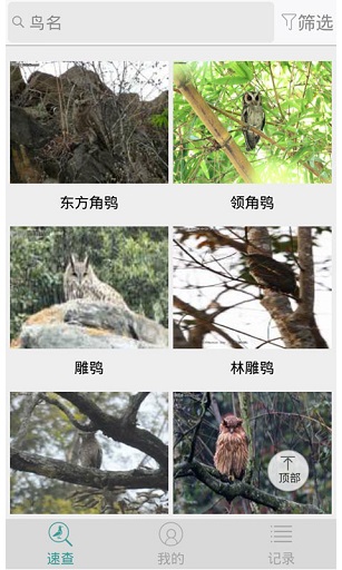 中国野鸟速查手机版 截图0