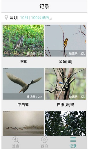 中国野鸟速查手机版 截图1
