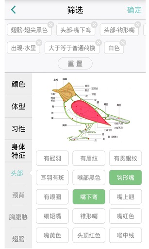 中国野鸟速查手机版 截图3