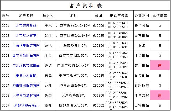 客户档案资料表格模板 截图0