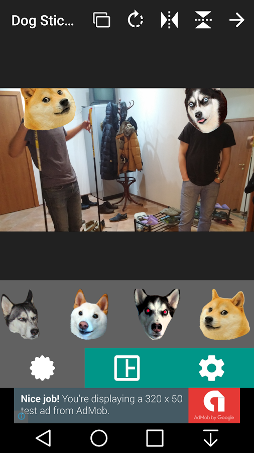狗头贴纸软件 v1.0 安卓版0