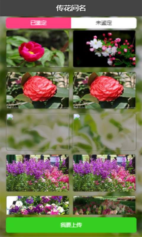 花卉识别软件 v1.0.0 安卓版0