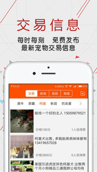 恋狗网app