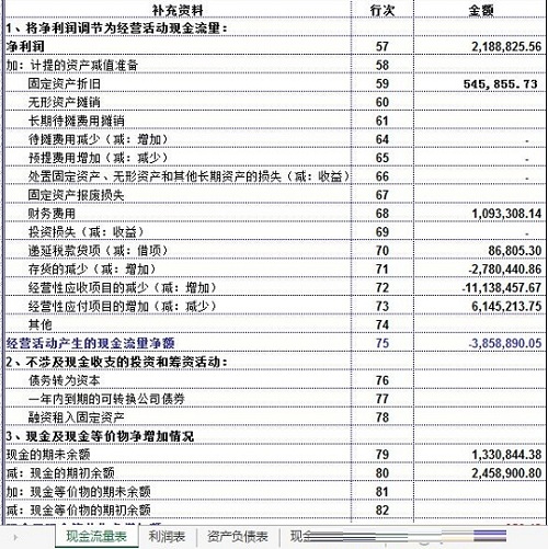 现金流量表自动生成模板 excel格式0