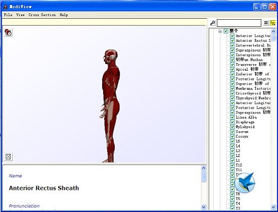 mediview(人体骨骼3d软件) v1.1 免费版0