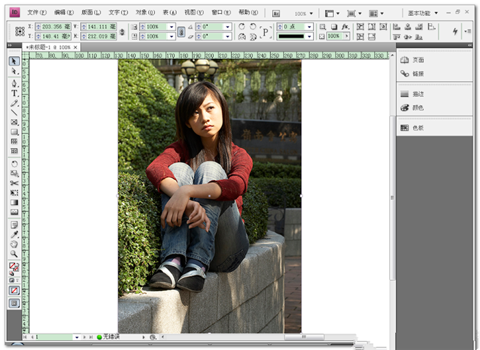Adobe InDesign CS4绿色中文版 截图1