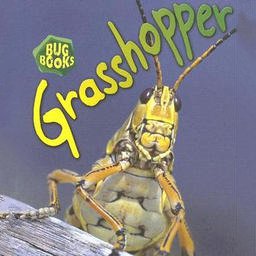 grasshopper插件