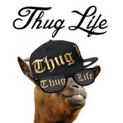 thug life maker中文版