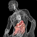 3dbody人体解剖学结构软件pc最新版