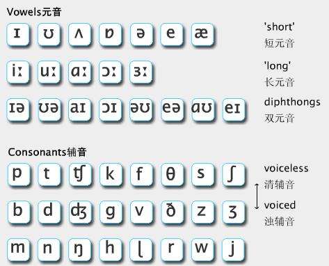 音标学习软件英语音标殿堂phoneticshome v9.5.0 官方最新版0