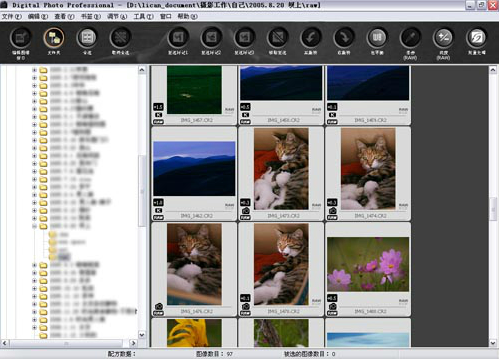 Digital Photo Professional(佳能raw软件) v4.6.10 官方最新版0