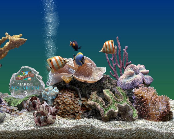 梦幻热带鱼水族箱3D屏保(Marine Aquarium) 截图0