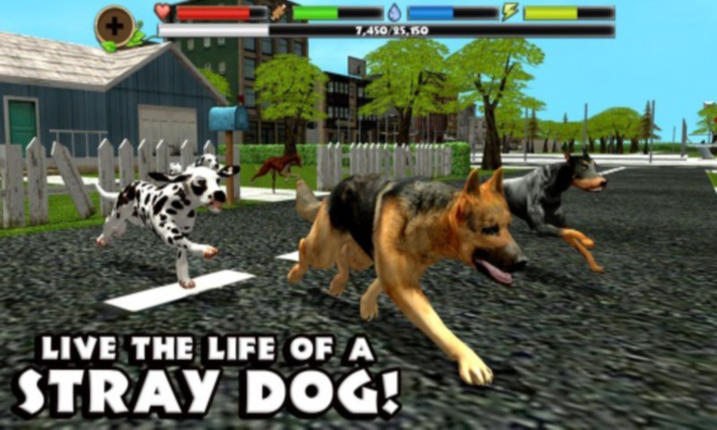 流浪狗模拟器(stray dog sim) v1.2 安卓版2