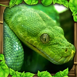 蟒蛇模拟器中文修改版(snake sim)