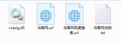 rsasig.dll文件