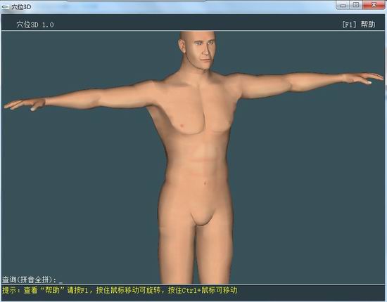 人体穴位3D模型软件 v2011 中文版0
