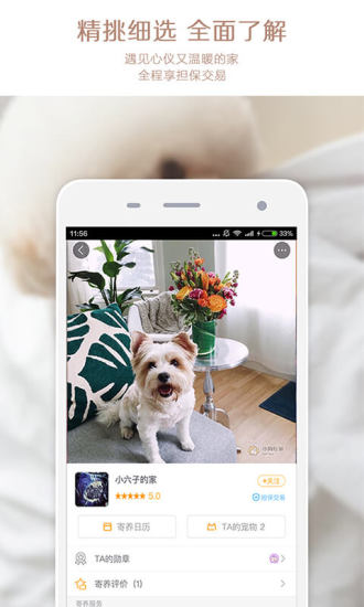 小狗在家iPhone版(宠物寄养平台) v3.5.6 苹果版1
