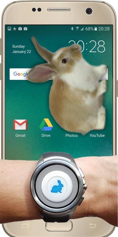 兔子在手机可爱的笑话app v1.1 安卓中文版2
