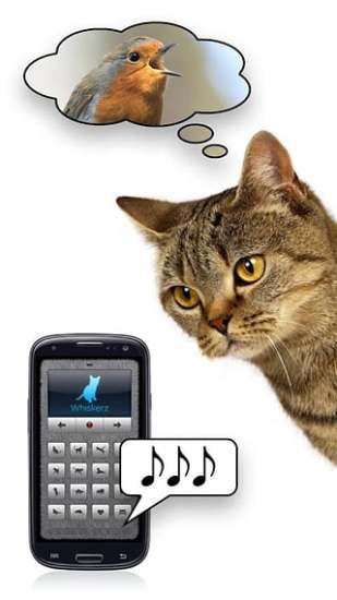 人猫交流器免费版 v1.1.6 安卓版1