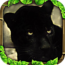 黑豹模拟器无限经验版(panther sim)