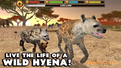 鬣狗模拟器无限经验版(hyenasim) 截图1