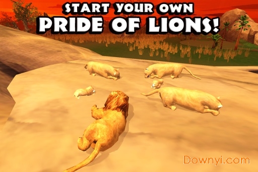 狮子模拟器无限生命版(lionsimulator) 截图3
