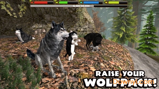 终极灰狼模拟器无限级版(ultimatewolf) 截图1