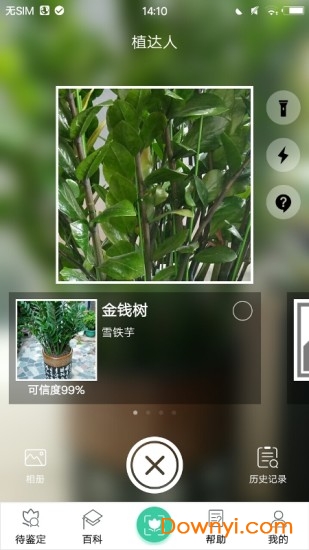 植物达人app v1.2 安卓版2