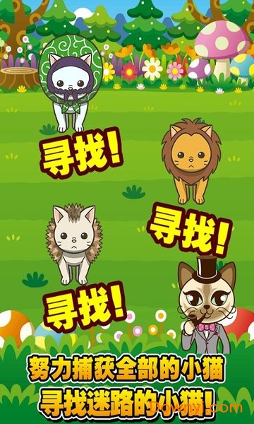 寻找小猫手游 v1.0.0 安卓版0