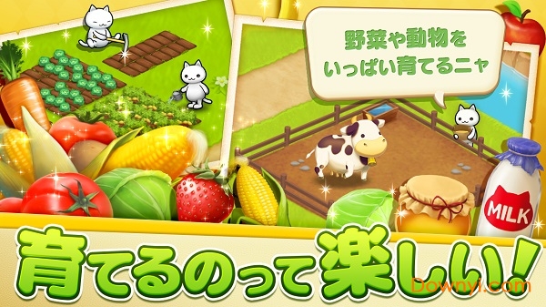 星星岛猫咪修改版 v2.1.2 安卓无限金币版0