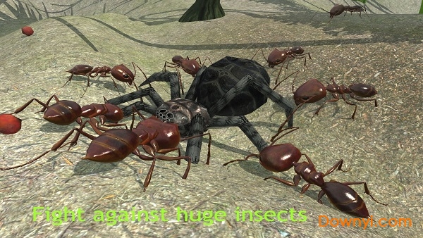 蚂蚁模拟器游戏中文版