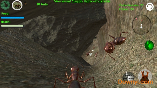 蚂蚁模拟3d游戏 截图0