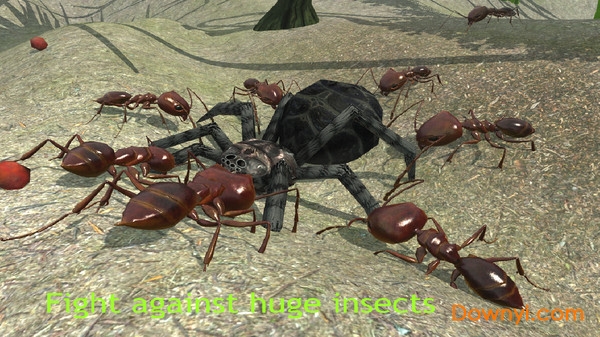 蚂蚁模拟3d游戏 截图1
