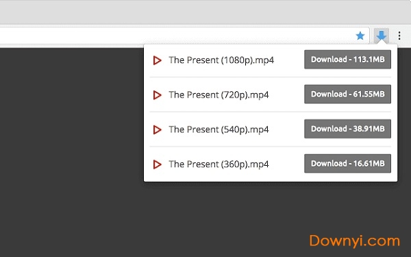 video downloader professional chrome(网页视频下载工具) 截图0