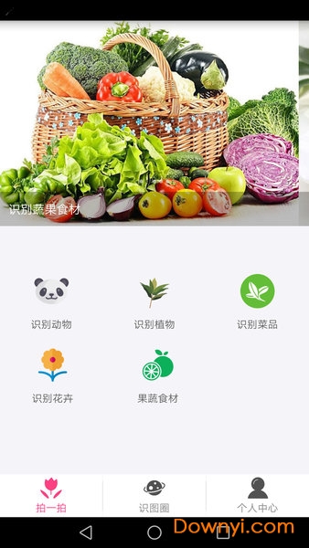 拍照识物app v1.2.4 安卓版2