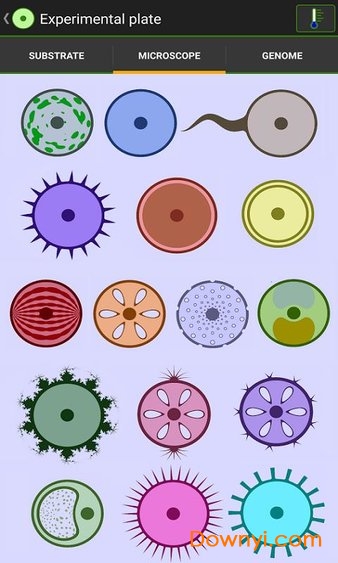 细胞实验室汉化版(sporos) 截图0