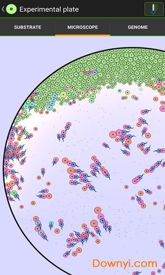 细胞实验室汉化版(sporos) 截图1