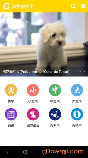 宠物狗大全app v2.131852 安卓版3