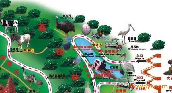 深圳野生動物園地圖