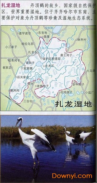 齐齐哈尔扎龙湿地旅游地图 1