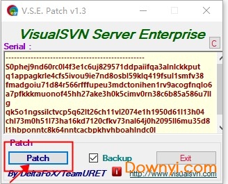 visualsvn server中文修改版