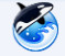 orca browser浏览器 v1.1 绿色版