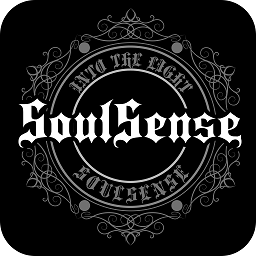 soulsense appv1.3.80 安卓版