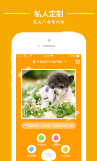 爱宠族app v1.0.27 安卓版1